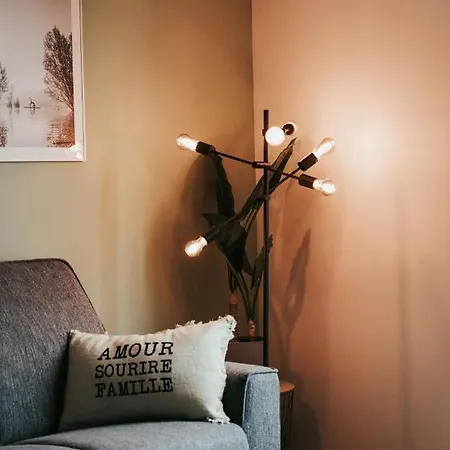 New F5 Neuf Cosy Lumineux Proche Siége Michelin Clermont-Ferrand