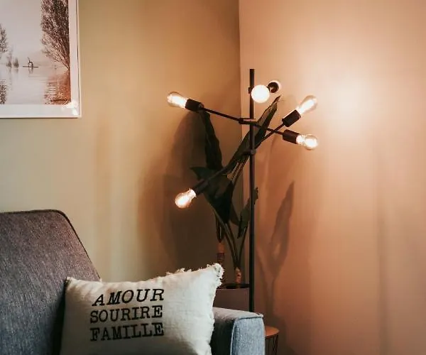 New F5 Neuf Cosy Lumineux Proche Siége Michelin Clermont-Ferrand